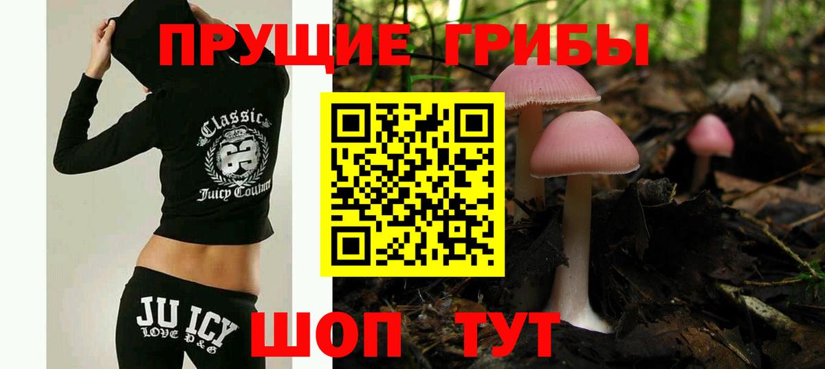 Канаш  Псилоцибиновые грибы ЛСД  Вход с VPN  Псилоцибиновые грибы мицелий 