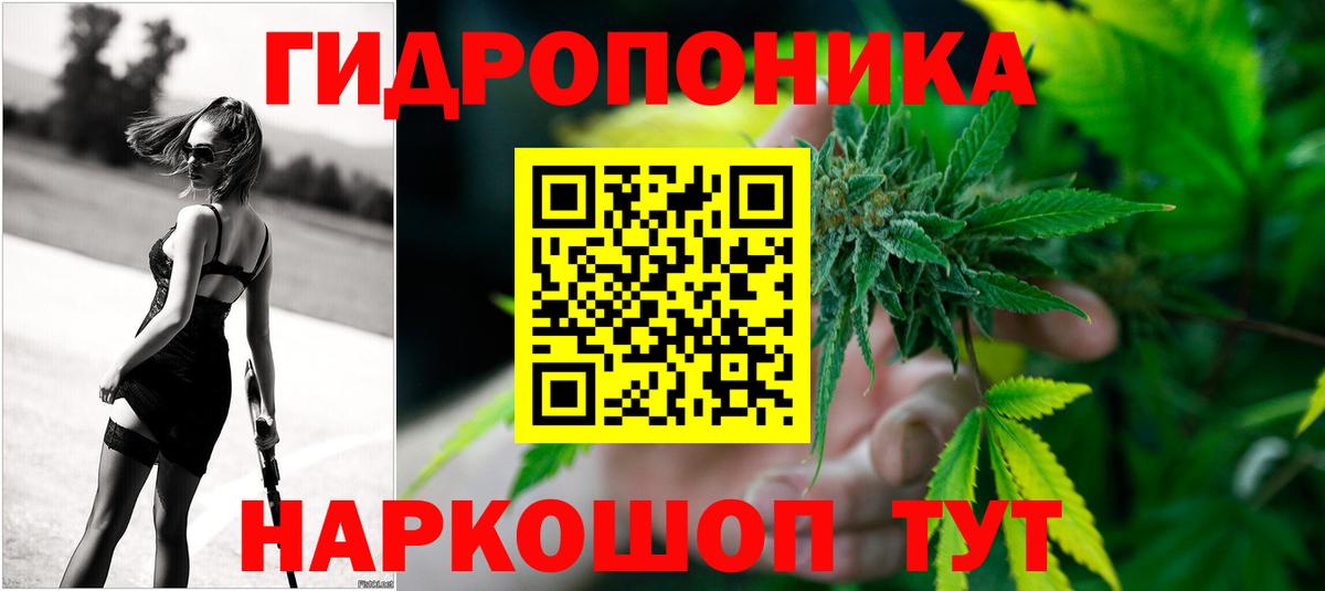 Канаш  Марихуана OG Kush  Бошки марихуана семена  Канабис планчик  Шишки марихуана VHQ  Вход с VPN 